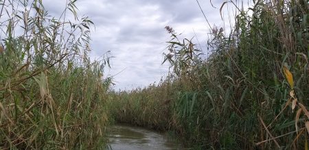 Астрахань, Каралат дельта Волги