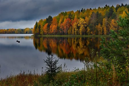 Карелия Озеро Водлозеро ранняя осень