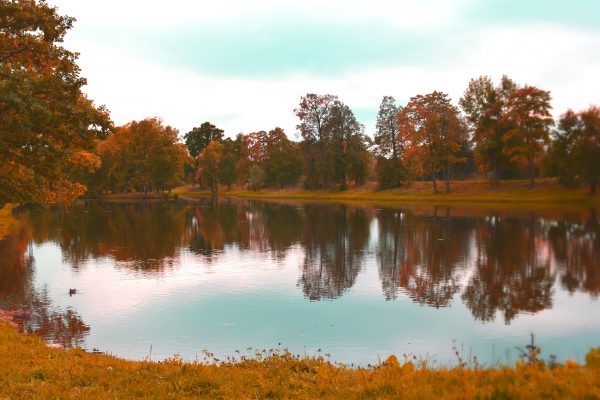 осень, пруд в парке
