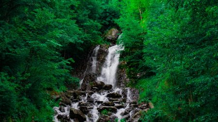 Абхазия молочный водопад