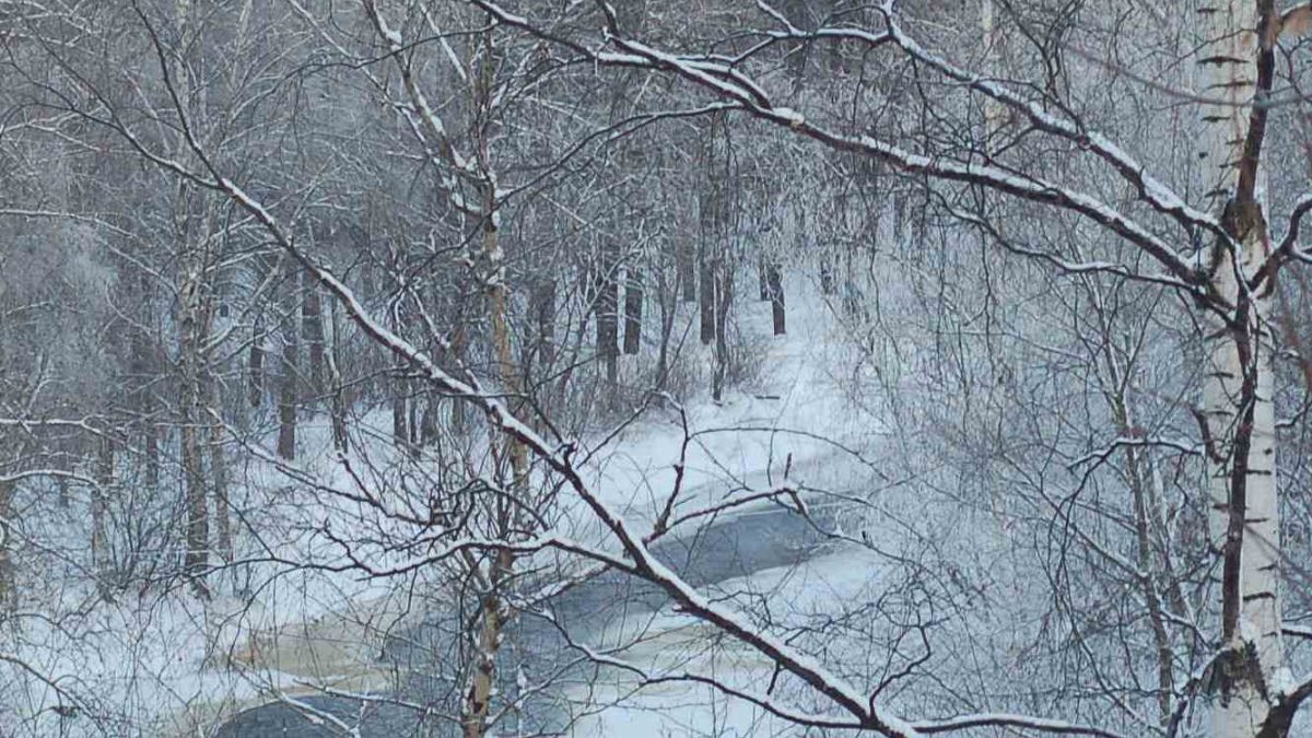 Зима в Карелии на 3 дня, старт и окончание в Петрозаводске | Туристическая  компания Спринт