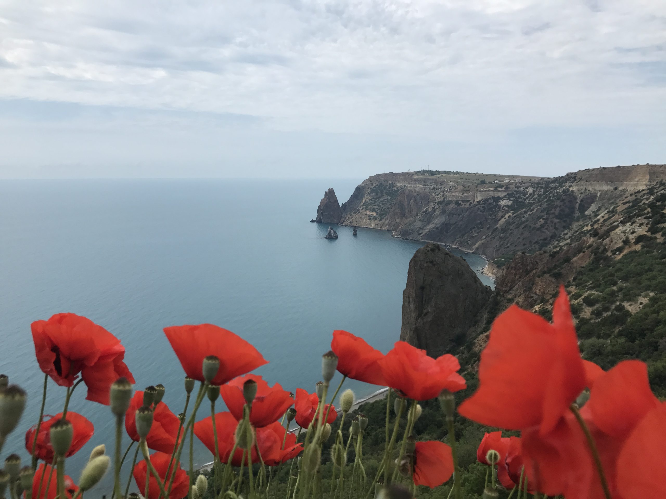 Россия купила крым. Мыс Фиолент в Крыму. Мыс Фиолент зимой. Заповедники Севастополя. Красоты Крыма ава.