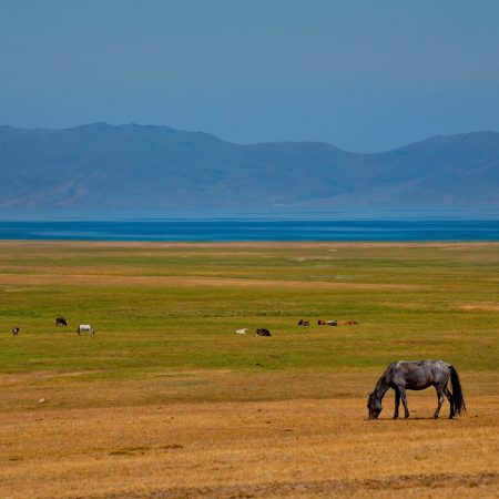 Киргизия.Кыргызстан. берег озера Сон-Куль